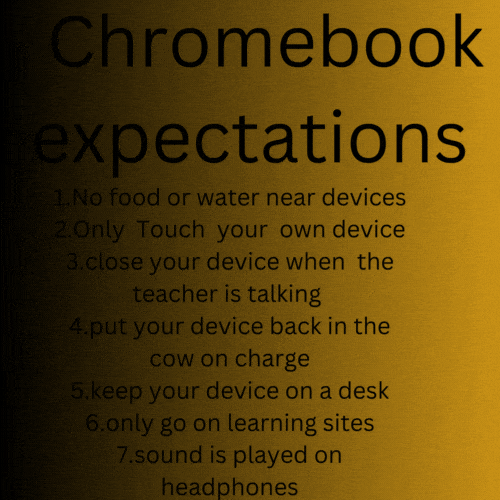 i had to write about chrome book expectations